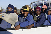 Arbeiter auf der Ladefläche von einem Kleintransporter, Gansbaai, Westkap, Südafrika