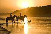 Two horsewomen with a dog at beach, Algarve, Portugal