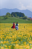 Girls running over meadow of dandelions, Antdorf, Upper Bavaria, Germany