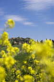 Monticchiello, Tuscany, Italy