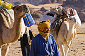 Camel Caravan in the libyan desert, Dromedaries, Camelus dromedarius, Akakus mountains, Libya, Sahara, North Africa