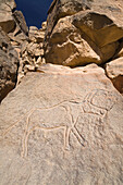 Steingravur einer Antilope im Wadi Mathendous, Wadi Barjuj, Steinwüste, Libyen, Sahara, Afrika