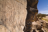 Steingravuren im Wadi Mathendous, Giraffe, Wadi Barjuj, Steinwüste, Libyen, Sahara, Afrika