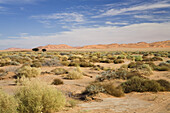 Sanddünen in der libysche Wüste, Sahara, Libyen, Nordafrika