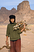Tuareg sammelt Brennholz, Akakus Gebirge, Libyen, Sahara, Nordafrika