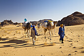 Camel Caravan in the libyan desert, Dromedaries, Camelus dromedarius, Akakus mountains, Libya, Sahara, North Africa