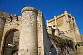 Castle, Peñafiel. Valladolid province, Castilla-Leon, Spain