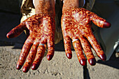 Henna tattoed hands, Fes, Morocco
