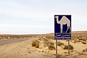 The Sahara at Douz, Tunisia  December 2008)