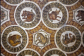 Mosaic at Bardo Museum, Tunis City, Tunisia  December 2008)