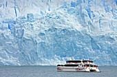 Spegazzini Glacier, Argentino Lake, Patagonia, Argentina  March 2009)