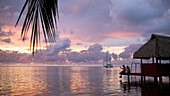 Sunset, Moorea, Society Islands, French Polynesia  May, 2009)