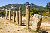 Alignments of Stantari. Corse-du-Sud, Corsica Island, France