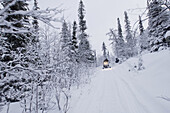 Snowmobile tour on the mountain near Gällivare. Lapland, Sweden