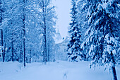 Fjällnäs castle, Gällivare. Lapland, Sweden