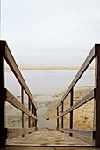 Beach, Concept, Conceptual, Outdoors, Path, Vertical, Wood, Wooden, A75-970231, agefotostock 