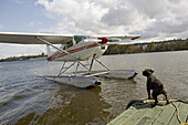 Flying in seaplane above Quebec City at fall, Quebec, Canada