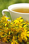 Saint John´s Wort infusion  Hypericum perforatum)