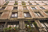 Häuserfassaden im Barri Gòtic, Barcelona, Katalonien, Spanien