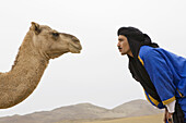 Berber und Kamel in der Sahara Wüste, Marokko