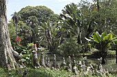 Jardim Botanico, Botanischer Garten, tropischer Park in Rio de Janeiro, Brasilien