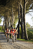 Three mountain bikers on an alley at Chiusi, Umbria, Italy, Europe