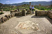Mosaic on the floor of the ´Knight´s house´, Roman ruins of Volubilis near Meknes, Moulay Idriss town in background, Morocco