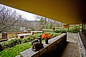The view from the Fallingwater guest house shows the progressive canopy over the asccess stairs  Structure in background is the main house penthouse  The sculpture is by Diego Rivera  Also known as the Edgar J  Kaufmann Sr  Residence, Fallingwater was des