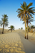 Sand dunes, Sahara Desert, Douz, Tunisia