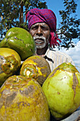Man selling coconuts, Mahabalipuram  Mamallapuram). Tamil Nadu, India