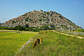 Gingee fort, Tamil Nadu, India