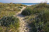 Tarifa. Cadiz province, Andalusia, Spain