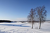 Russia,Pskov Region,Pushkinskie Gory,Mikhailovskoye,Domain of Alexander Pushkin family ,Sorot River,winter landscape