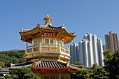 asia, china, hong kong, Chi lin nunnery pagoda 2008