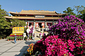 asia, china, hong kong, Lantau, Po Lin monastery 2008