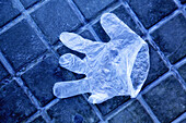plastic glove on the floor