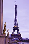 Eiffel Tower at dawn, Paris, France