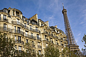 Eiffel Tower in the morning, Paris, France