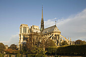 Notre-Dame cathedral in the morning, Paris, France