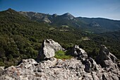 Italy, Sardinia, Western Sardinia, Monti Ferri, highland landscape