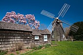 USA, New York, Long Island, The Hamptons, East Hampton, Mulford Farmstead, historic site, b 1680, water mill