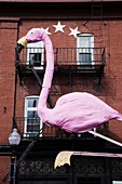 USA, Maryland, North Baltimore, Hampden, bohemian area honoring local Hon culture, big pink flamingo on The Avenue, 36th Street