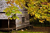 USA, Tennessee, Gatlinburg, Great Smoky Mountains National Park, historic Bud Ogle Farm, 1883-1925, autumn