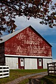 USA, West Virginia, Arbovale, Monongahela National Forest, old barn, autumn