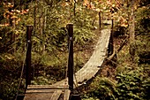 USA, West Virginia, New Richmond, National Coal Heritage Area, small hanging bridge