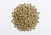 legume type on white background