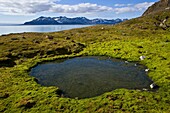 Islas Spitsbergen o Svalbard, Noruega