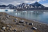 Islas Spitsbergen o Svalbard, Noruega