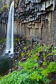 Cascada Svartifoss, Parque Nacional Skaftafell, Islandia