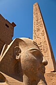 Ramses II y Obelisco, Templo de Luxor, Luxor, Valle del Nilo, Egipto
